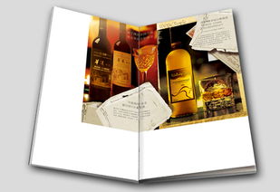 新京集團 靈智飛揚 品牌設計公司 北京廣告公司 北京平面設計公司 400 808 0959